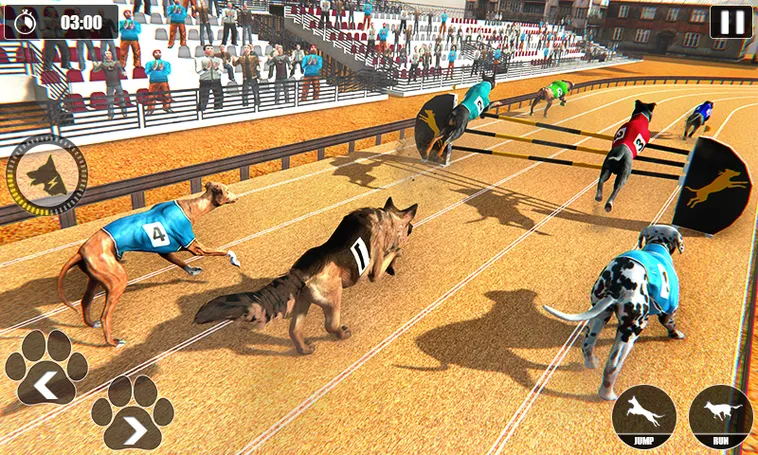 Hướng Dẫn Cách Chơi Game Nhanh Đua Chó Tại AE888 Dễ Thắng Nhất